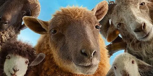 The Sheep Detectives