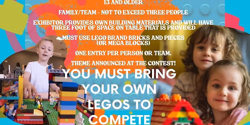 Lego Bricks Building Contest
