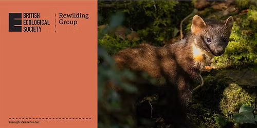 Rewilding SIG PhD Conference