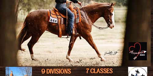 Arrowheart Ranch Horse Buckle Show