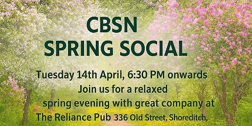Free Chinese Business and Social Network Spring Social
