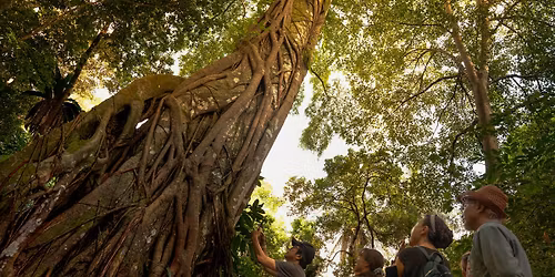 Walk With Your Neighbours @ Chestnut Nature Park!