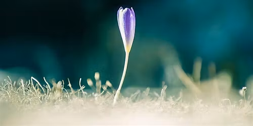 Hopeweavers Quiet Day