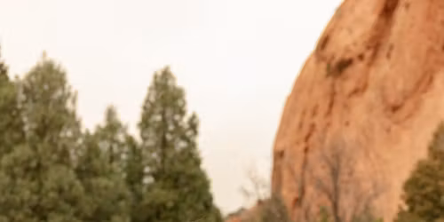 Jaelyn\u2019s Grad Party