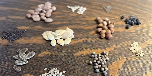 Successful Gardener - Seed Collecting & Saving