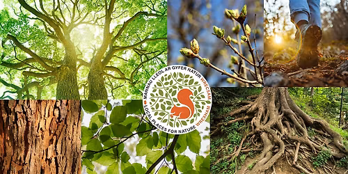 FREE bus to Brymbo Fossil Forest (Optional "Walking with Trees" tour)