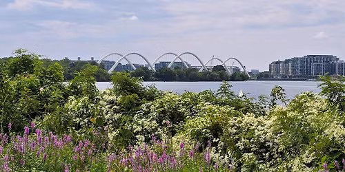 Anacostia Walking Meditation + Mindful River Cleanup