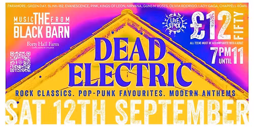 Dead Electric Live at The Black Barn