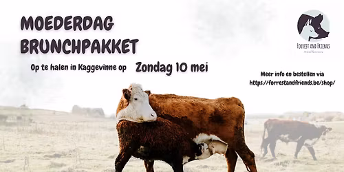 Moederdag brunchpakket