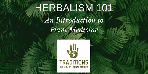 Western Herbalism 101
