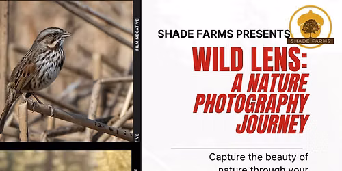 Wild Lens: A Nature Photography Journey