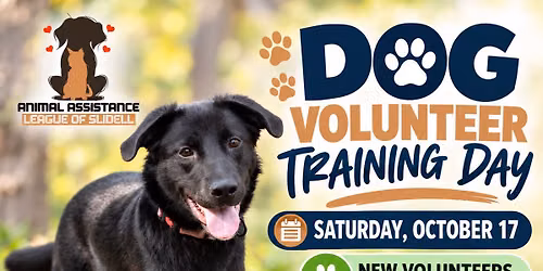 Dog Volunteer Training Day