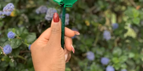 Flowers of Remembrance:A Grief Walk & Botanical Lego Build