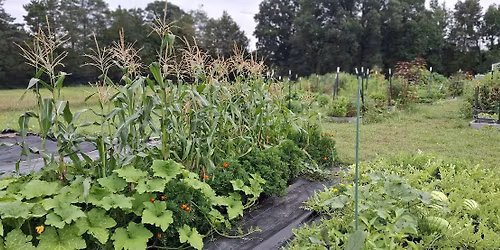 Volunteer at Arcadia's Community Farm - June