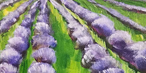 Lavendar Fields Forever!
