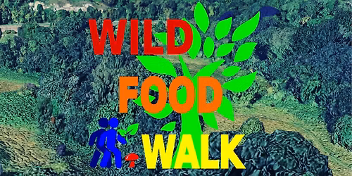 November Sea Mills (Bristol) Wild Food Foraging\/ Forager Walk.