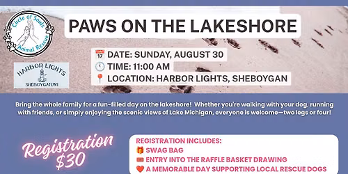 Paws On The Lakeshore