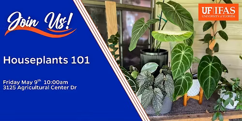Houseplants 101