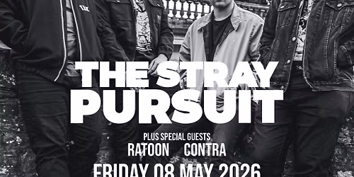 The Stray Pursuit - Swansea