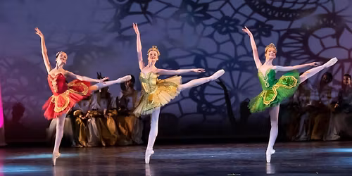 International Ballet Stars: The Sleeping Beauty