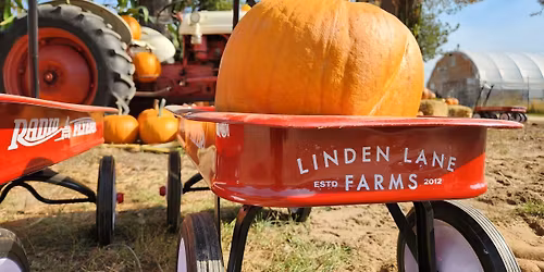 7th Annual Pumpkin Fest