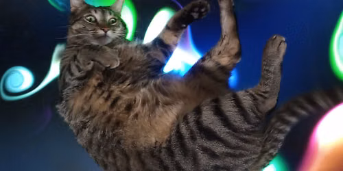 Glitch Gallery Grand Reopening Big Cool Art Party