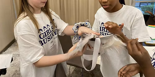 Girls in Business Camp Canberra 2026