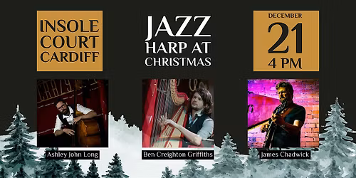 Jazz Harp at Christmas - live @Insole Court