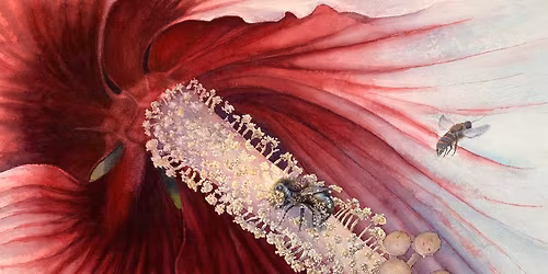 Open House - local artist Tim Myrick will lead a discussion about his art, process and inspiration. 