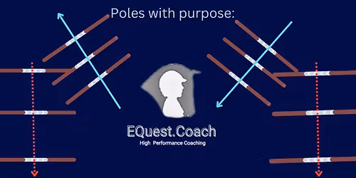 The Power of Position, Posture & Poles