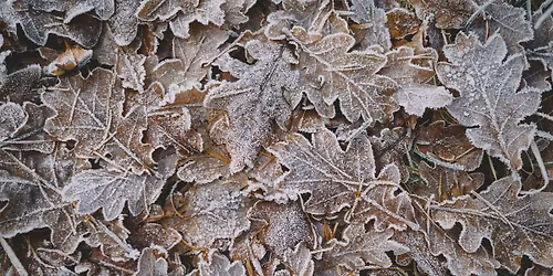 Winter Solstice: Journal into Sound