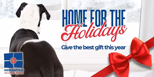 Home for the Holidays