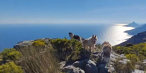 Karbonkelberg Springflower Hike