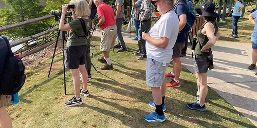 Bird Walk and Wildlife Viewing