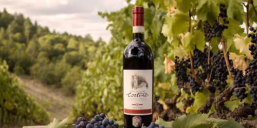 Il Piccione di Paolo Gori e i vini e l'olio delle Diocesi