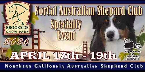 NorCal Australian Shepard Club Specialty Event