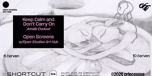 \u02d6\u00b7\u02f3.* Dvouvernis\u00e1\u017e v\u00fdstav: Keep Calm and Don\u2019t Carry On + Open Screens *.\u02f3\u00b7\u02d6