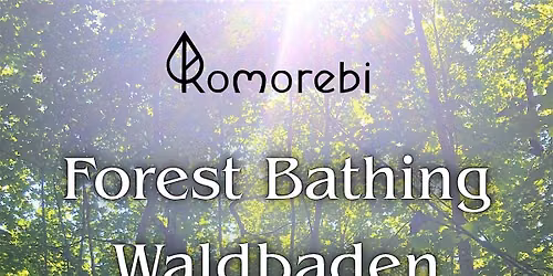 Forest Bathing \/ Waldbaden