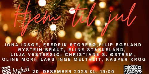 Hjem til Jul 2025