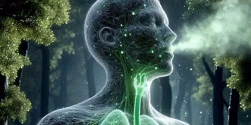 \ud83d\udcabRebirthing\/Breathwork\ud83d\udcab