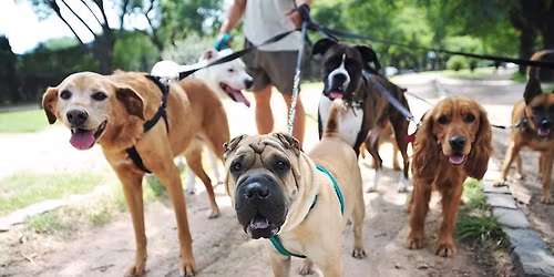 Darts Challenge... Who wants to do this with me?