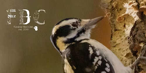 Autumn Birding in Prospect Park