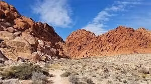 Philanthropy: Clean-Up Day at Red Rock Canyon