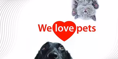 PET First Aid Course - South Auckland