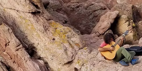 Dominick Antonelli\/SeeTrees