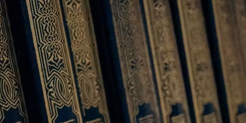 Books and Boas: An elevated bookish experience