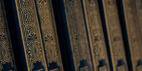 Books and Boas: An elevated bookish experience