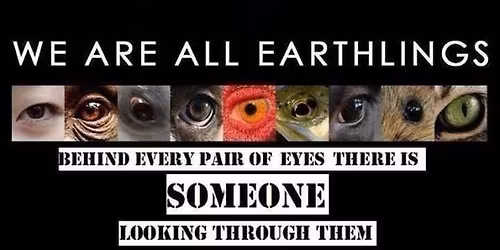 Earthlings Experience - Leicester