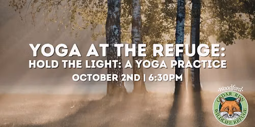 Hold the Light: A Yoga Practice