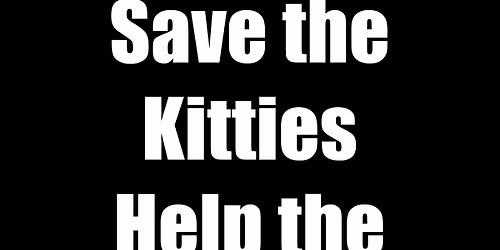 Safe Haven Fundraiser 